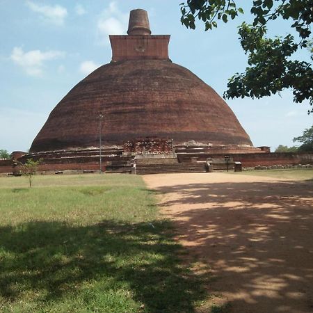 Coconut Park Acomodação com café da manhã Anuradhapura Exterior foto