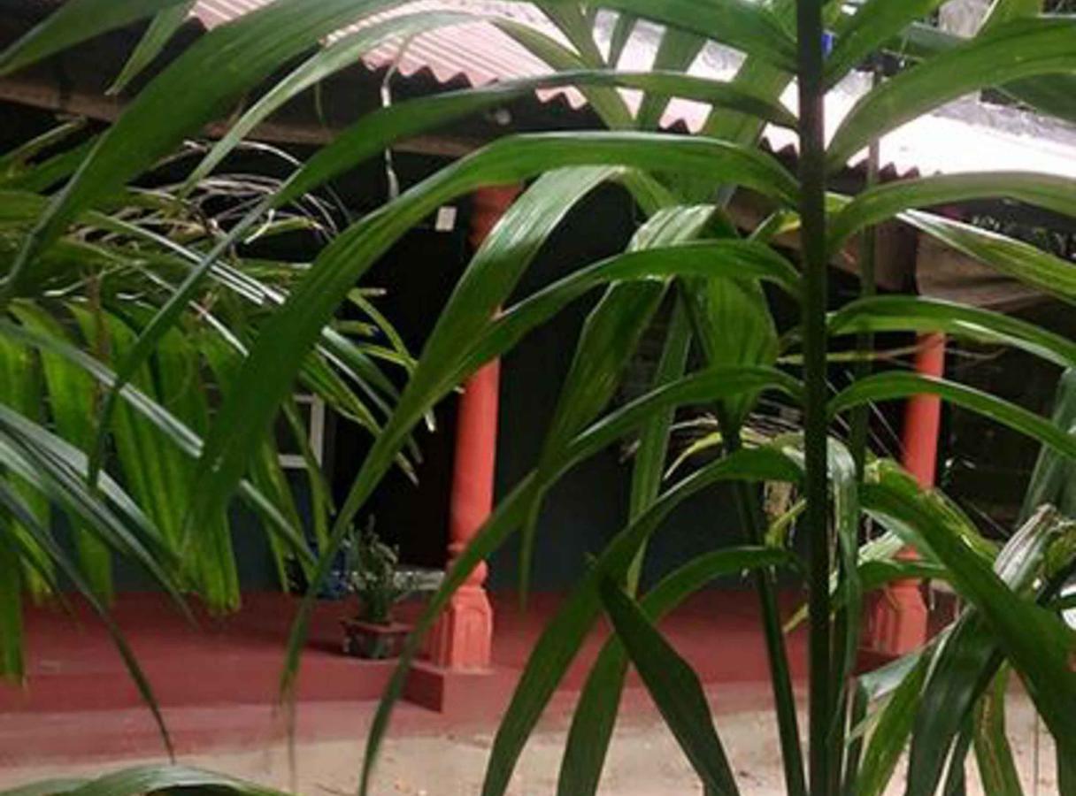 Coconut Park Acomodação com café da manhã Anuradhapura Exterior foto